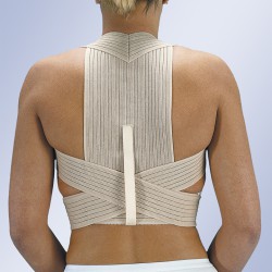 ESPALDILLERA NORMAL T3 E240...